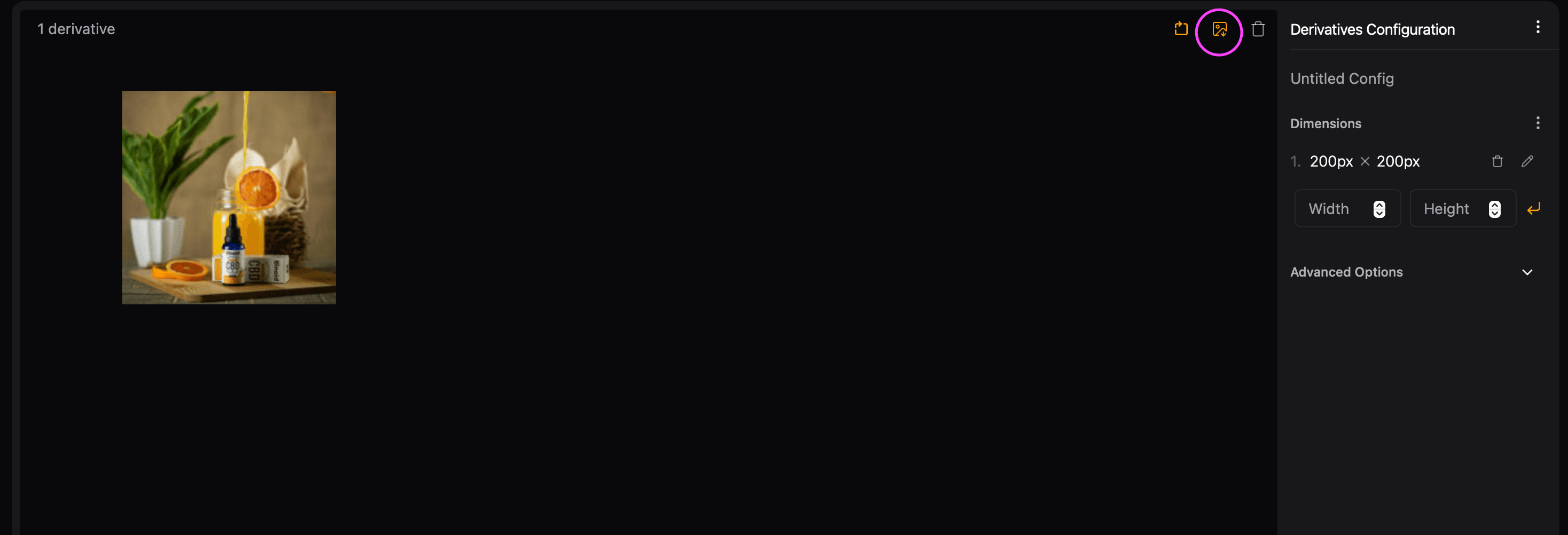 Export button